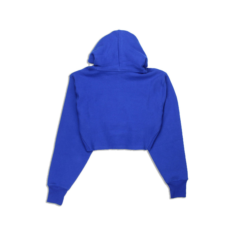 Champion Women's Reverse Weave Cropped Hoodie Men's Fit Surf The Web Back