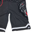 Hudson Outerwear Wild Stripe Shorts - PremierVII