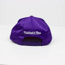 Mitchell & Ness Los Angeles Lakers Division Mesh Snapback Hat Purple & Gold Back