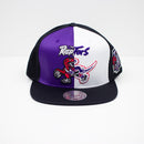 Mitchell & Ness Toronto Raptors Division Mesh Snapback Hat Purple & White Front