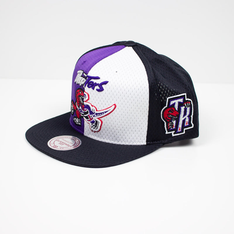 Mitchell & Ness Toronto Raptors Division Mesh Snapback Hat Purple & White Left