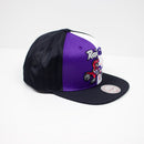 Mitchell & Ness Toronto Raptors Division Mesh Snapback Hat Purple & White