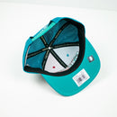 Mitchell & Ness Vancouver Grizzlies Division Mesh Snapback Hat Teal / Red Bottom